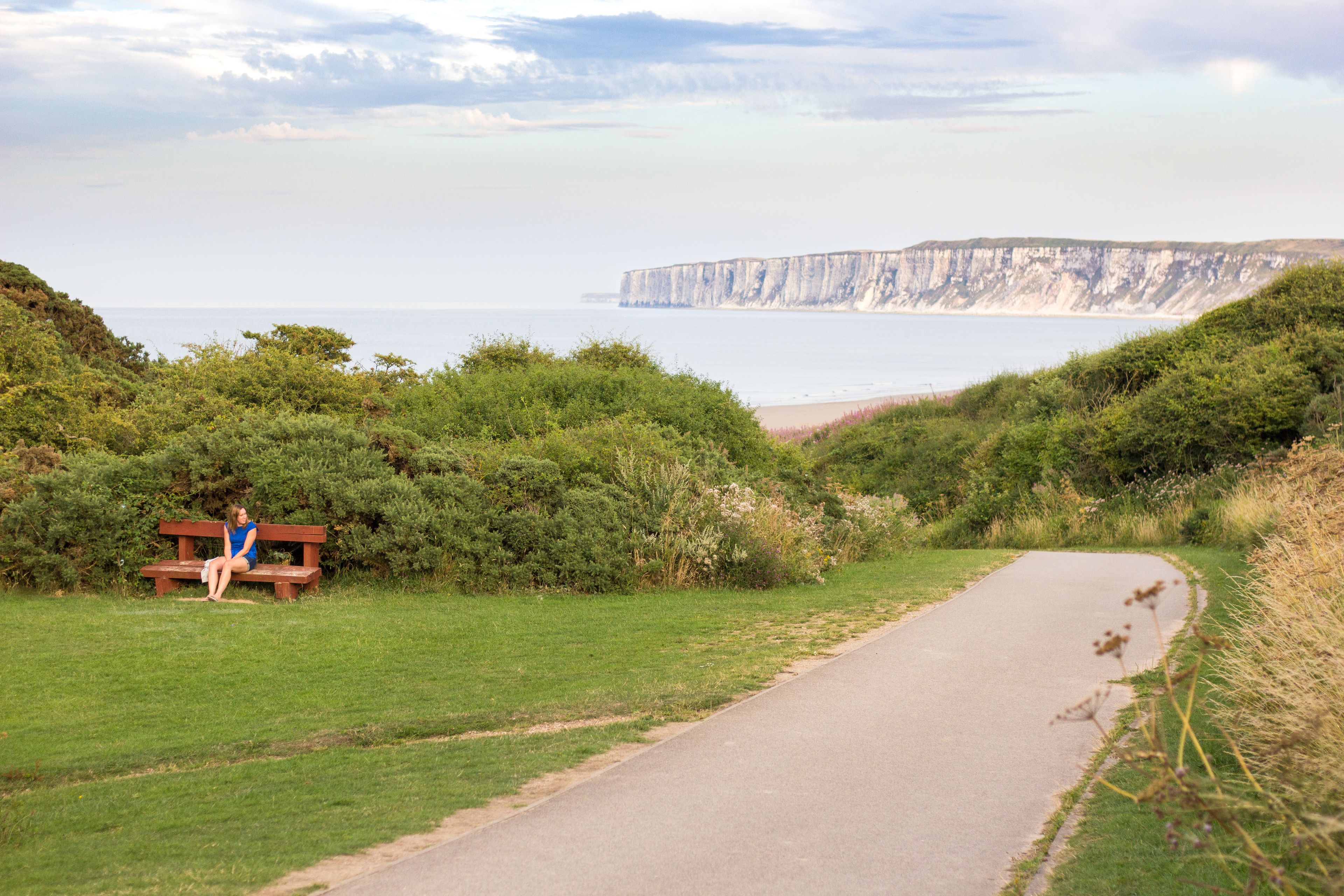 A paved path leading to a bench with a person sitting on it, surrounded by greenery and overlooking a cliff by the sea.