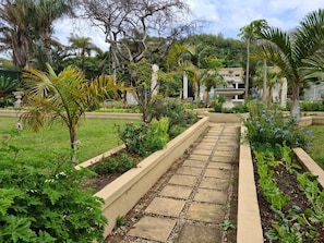 Garden view