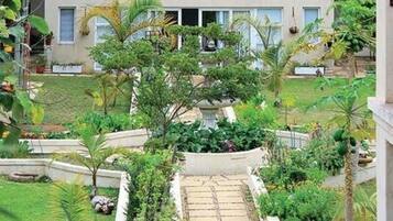 Cottage, Garden View | Garden view