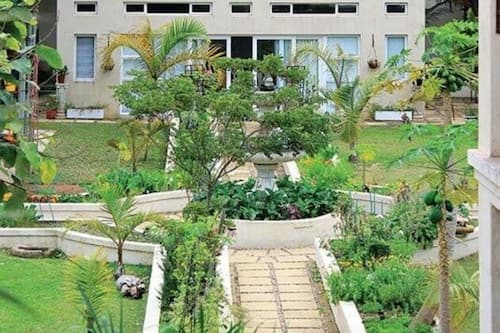 Cottage, Garden View | Garden view