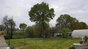 Een achtertuin met gazon, een kas, een speelruimte en een stenen gebouw.