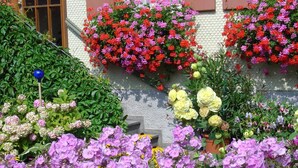 A garden with various flowers and plants, including red, pink, yellow, and purple blooms, and a blue decorative item. - Landhotel Herzberger (Scheidegg)