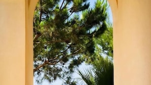 Una habitación con vista a una playa y árboles, a través de un ventanal arqueado.
