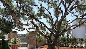 Una entrada bordeada de árboles con una puerta de piedra, una planta en maceta y un cantero de flores.
