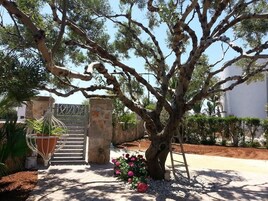 Una entrada bordeada de árboles con una puerta de piedra, una planta en maceta y un cantero de flores.