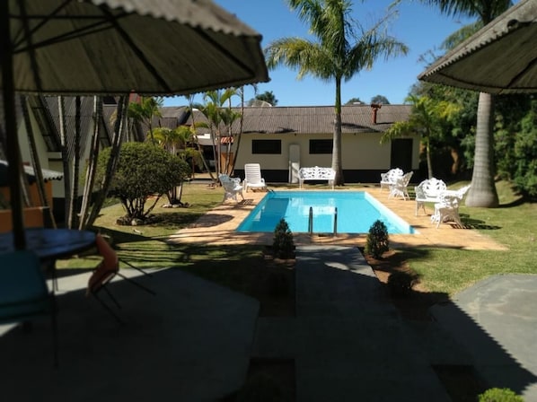 Outdoor pool, sun loungers