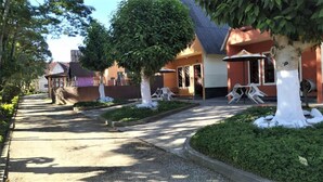Zona residencial con entrada pavimentada, árboles pintados de blanco y un edificio de fachada roja y tejado de tejas.