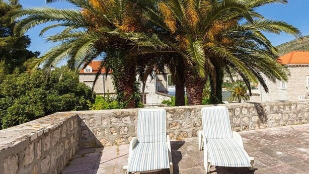 Deux fauteuils de jardin sont placés sur une terrasse en pierre, avec un palmier et un mur de pierre en arrière-plan.