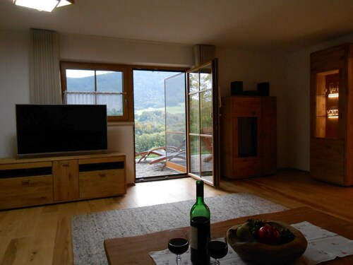 Spacious Schneiderhof vacation apartment with terrace