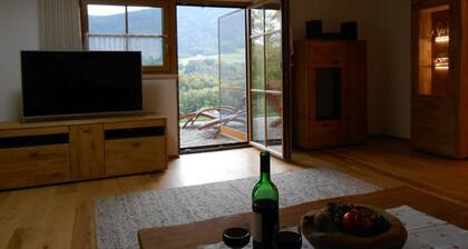 Spacious Schneiderhof vacation apartment with terrace