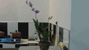 LED TV