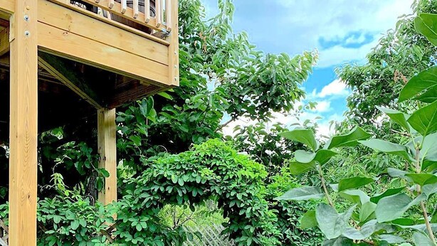 A wooden deck with a lattice railing, surrounded by lush greenery and a gravel path.