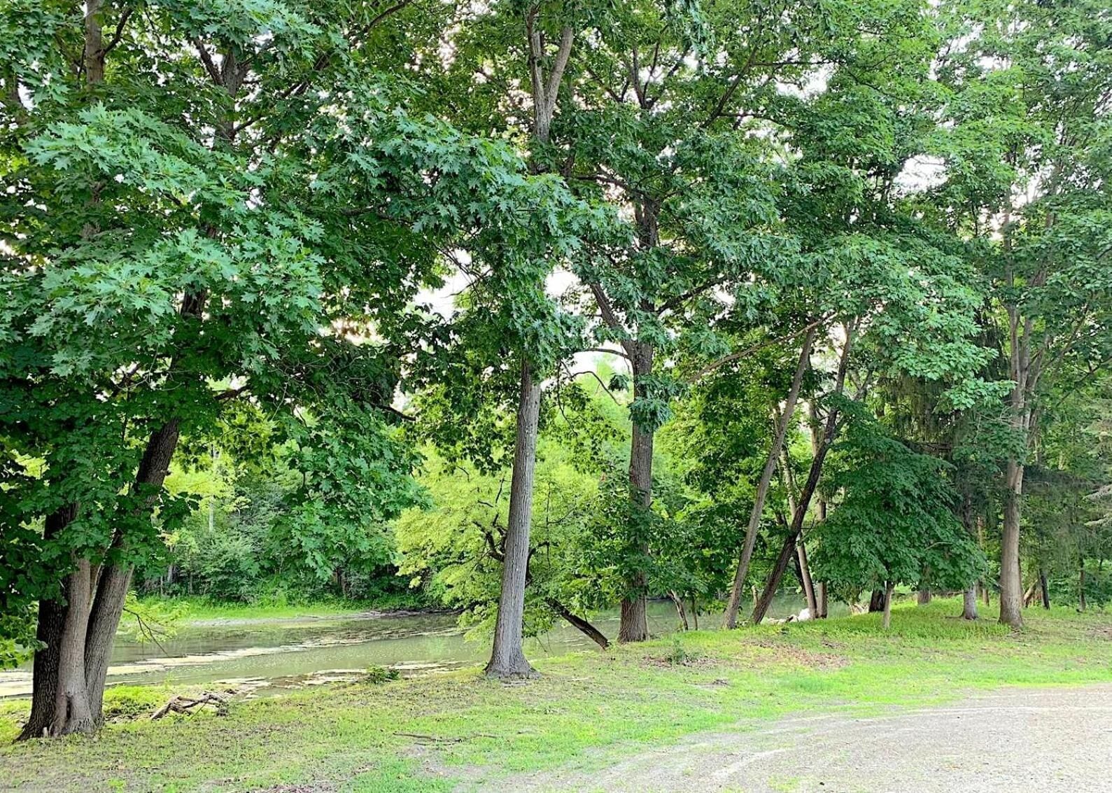 A park with a dirt path and trees.