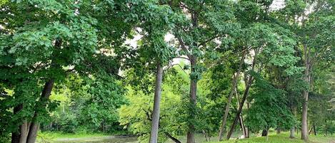 A park with a dirt path and trees.