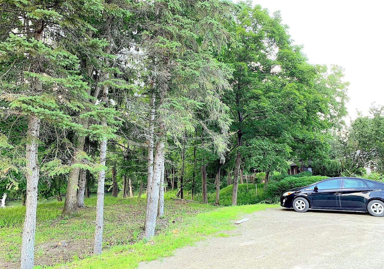Taman