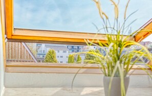 Property grounds - Vacation apartment Parkpension W14 (Laboe)