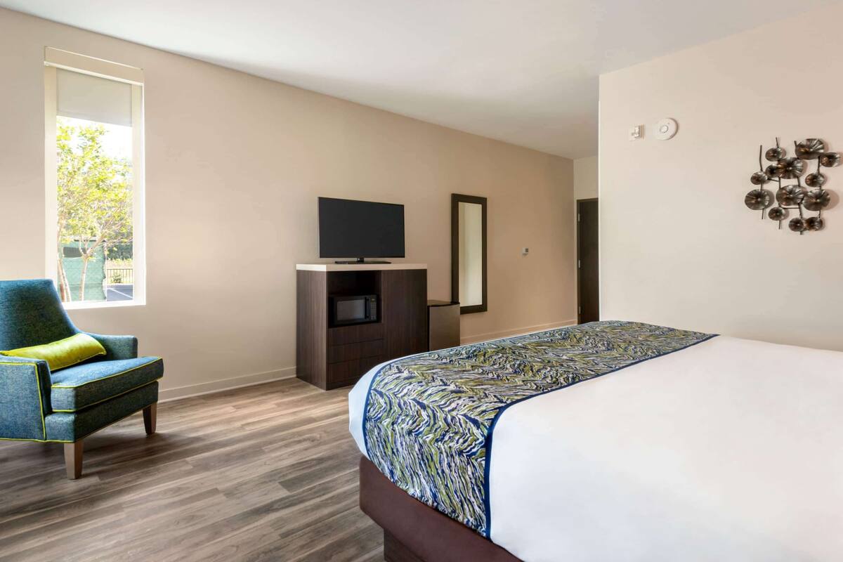 Habitación de hotel con cama, televisor sobre un mueble, una silla y ventana con vistas a árboles.