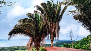 Una piscina con bordo in legno, circondata da palme e vista sull'oceano.