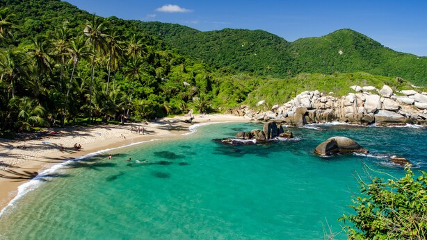 Una spiaggia tropicale con acque cristalline turchesi, palme e formazioni rocciose.