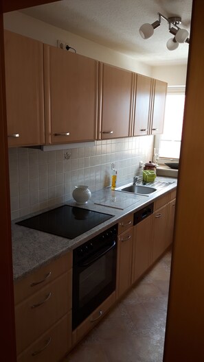 Kühlschrank, Ofen, Herdplatte, Geschirrspüler