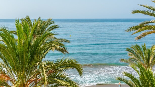Una playa con palmeras y el océano.