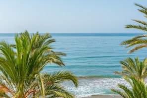 A beach with palm trees and the ocean.