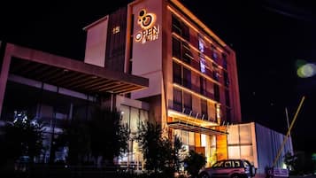 Front of property - evening/night