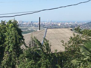 Sports court - Panorama view apartment with sea view in the middle of nature. (Batumi)