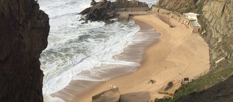 Terra Luso estate near Serra de Montejunto.