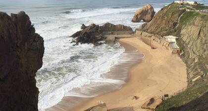 Terra Luso estate near Serra de Montejunto.