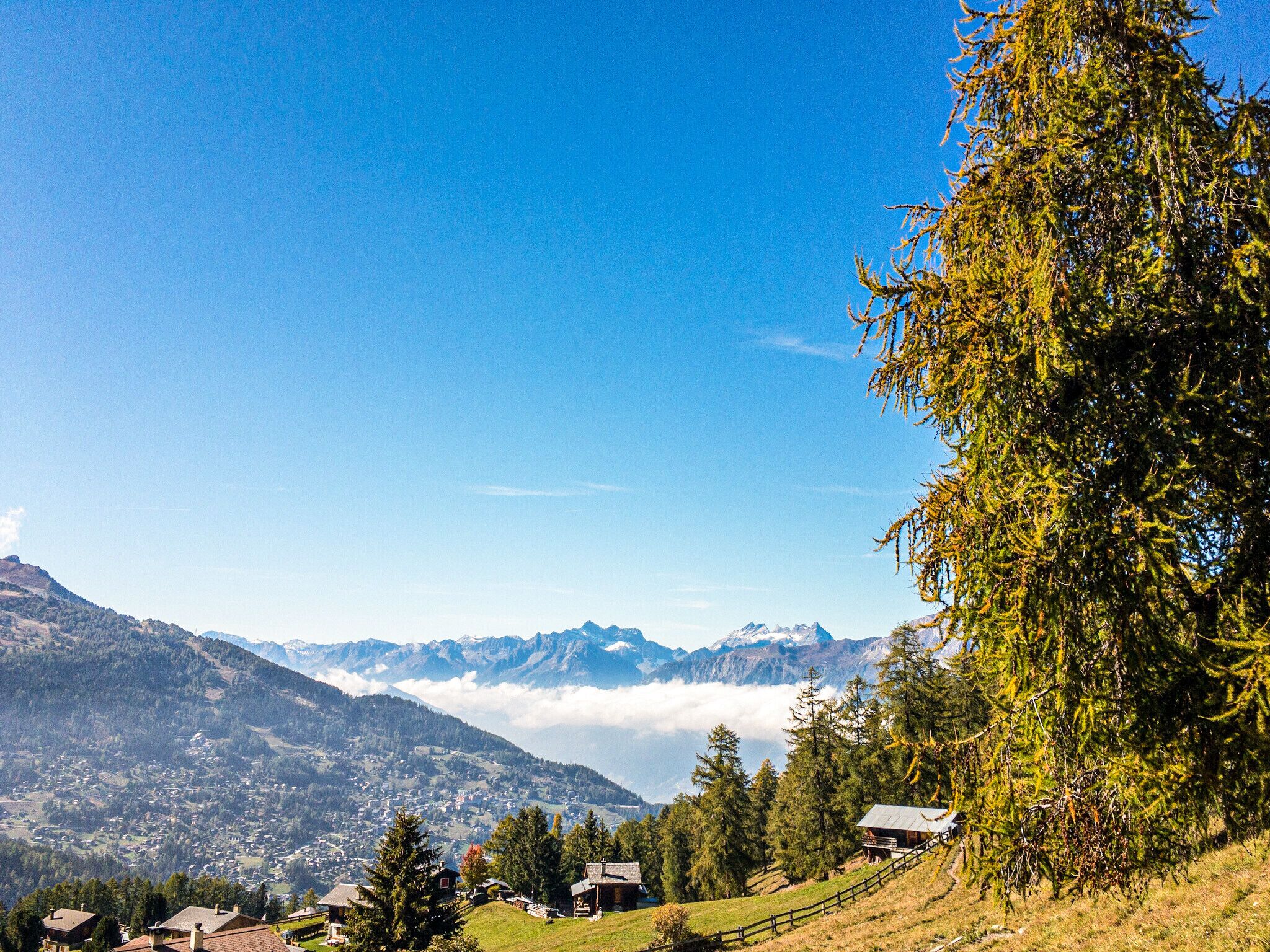 A mountainous landscape with houses and trees.