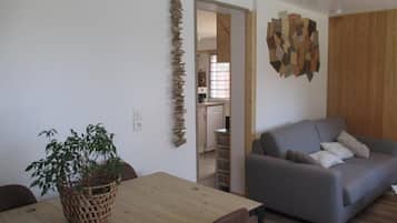 TV, DVD player, books, music library