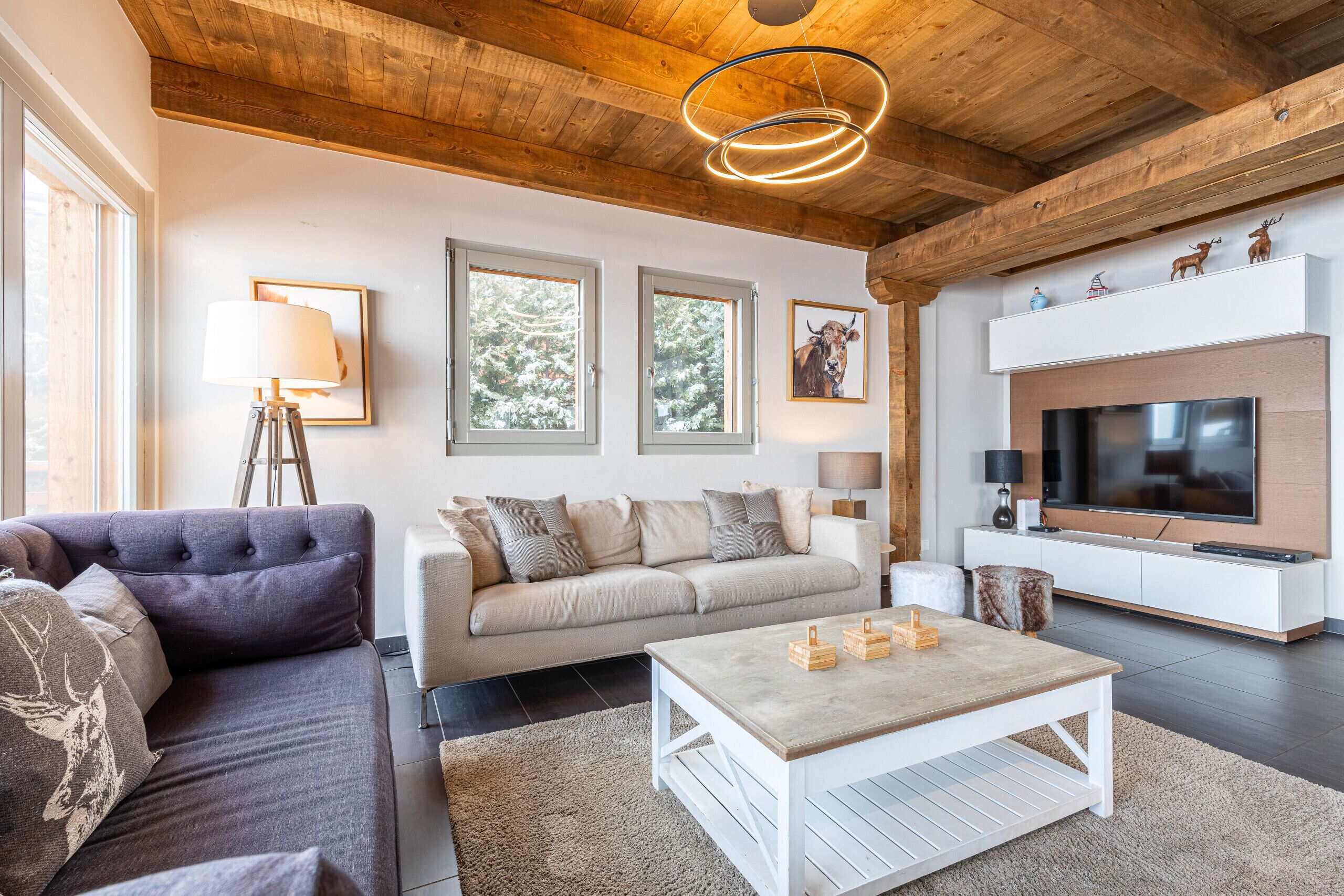 Fernseher, Kamin, DVD-Player