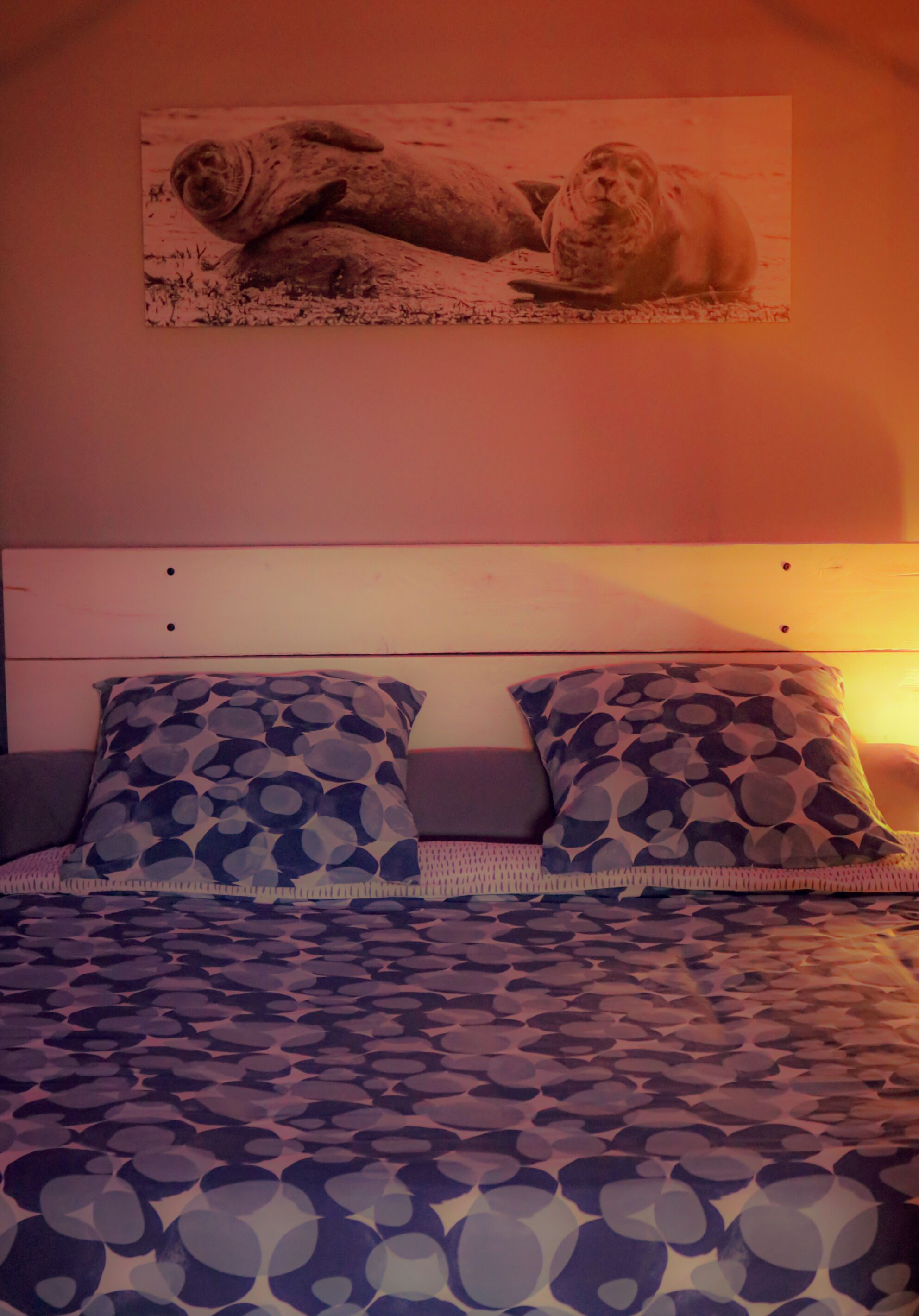 A bed with patterned bedding, a headboard, and two matching pillows.