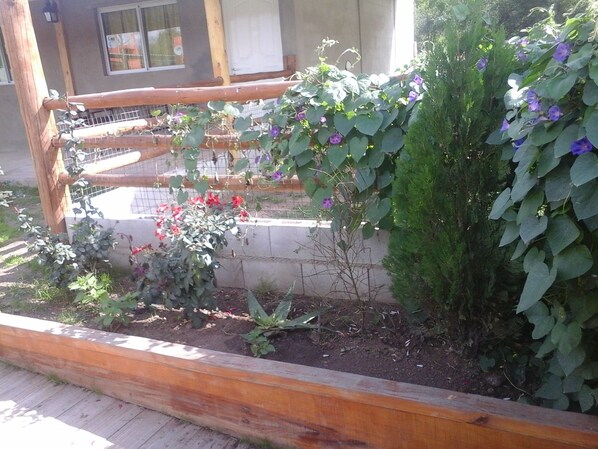 家庭四人房 | 露台/庭院