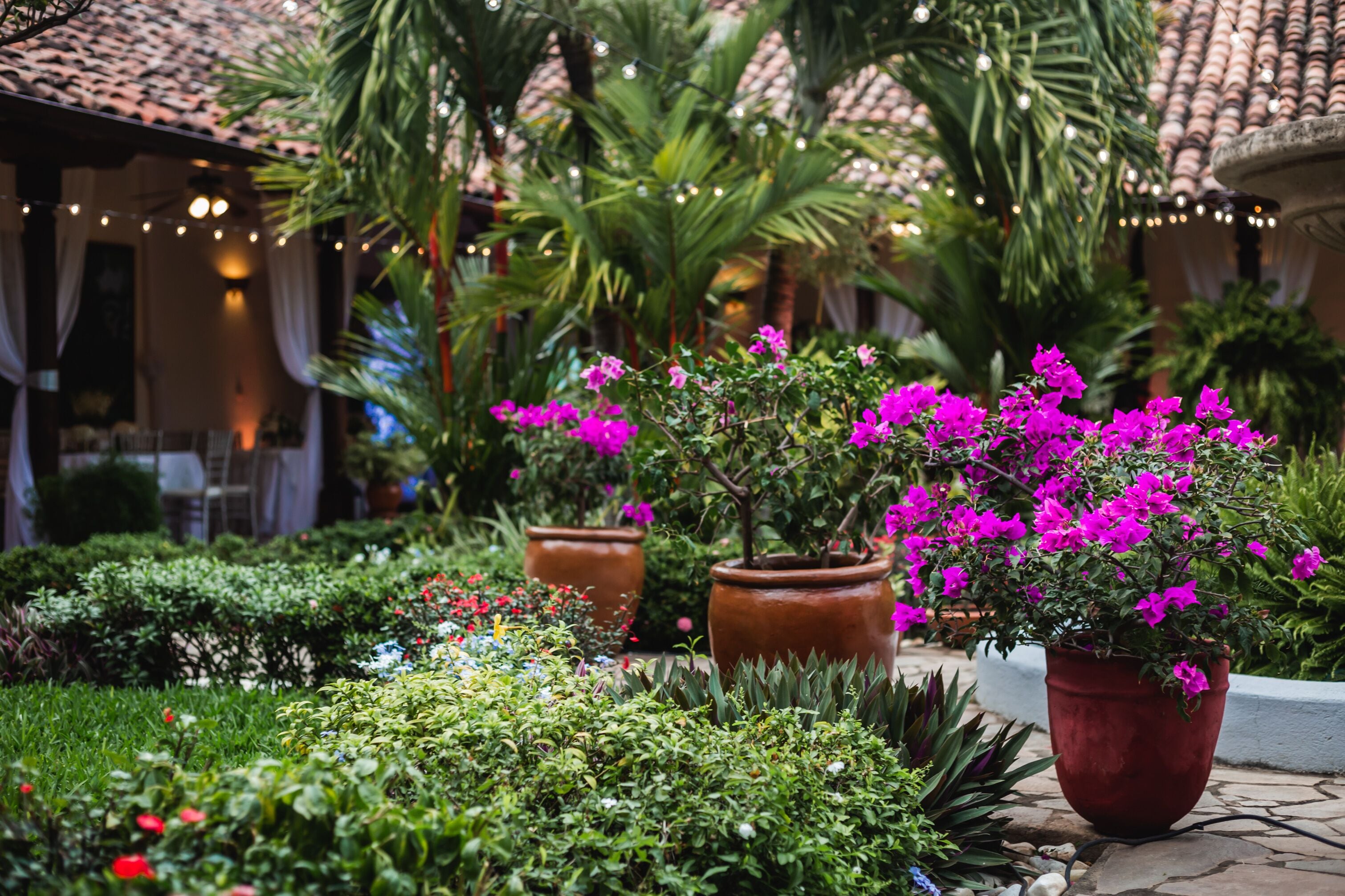 A garden with potted plants and a fountain.
