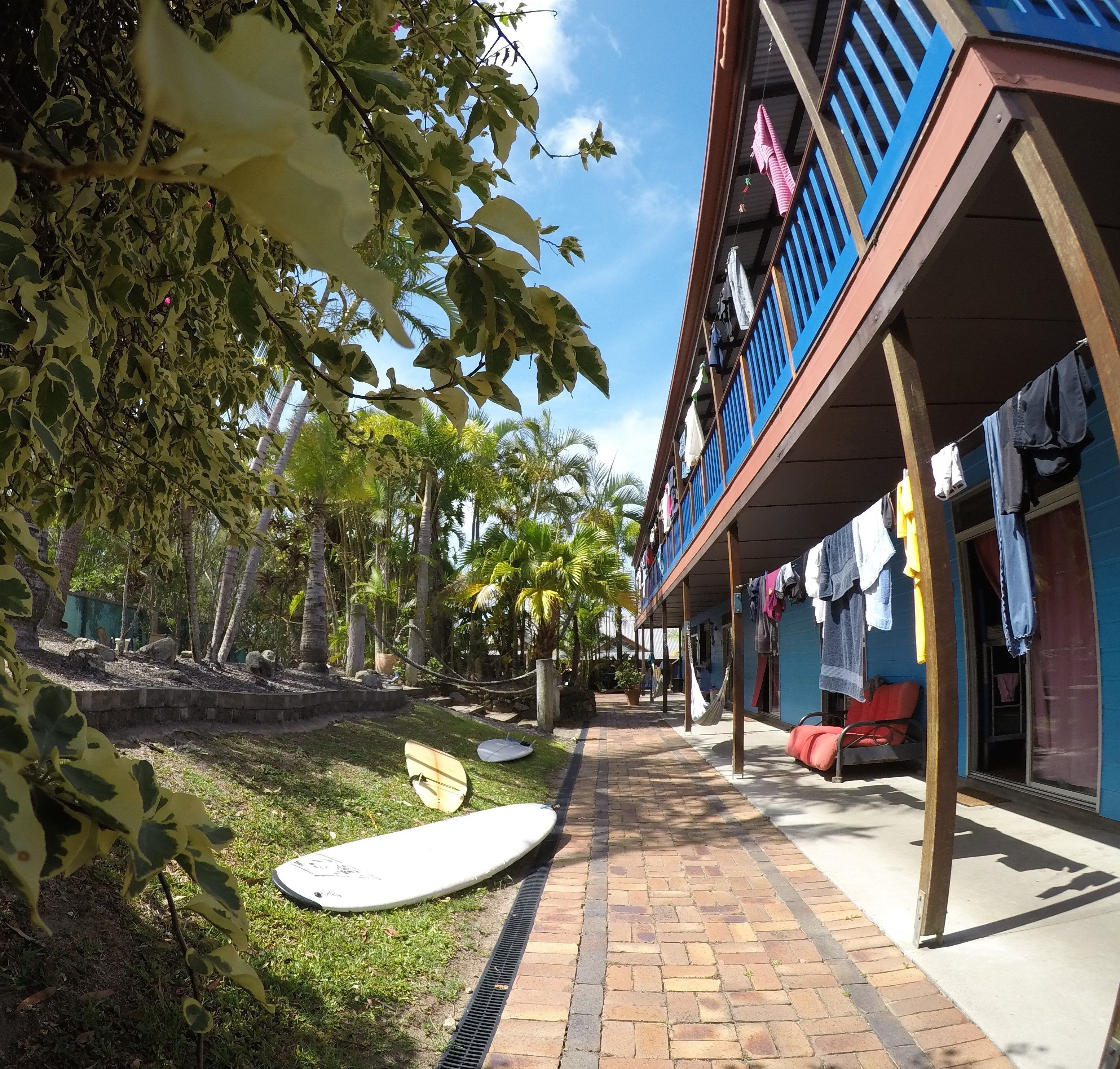 A pathway lined with surfboards, a building with a blue exterior, and a tree with variegated leaves.