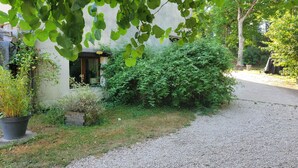Ein Kiesweg führt zu einem Haus mit Fenster und Tür, umgeben von Grünpflanzen und einem Blumentopf.