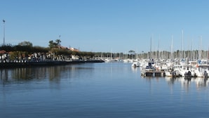 A marina with boats docked, calm water, and buildings in the background.