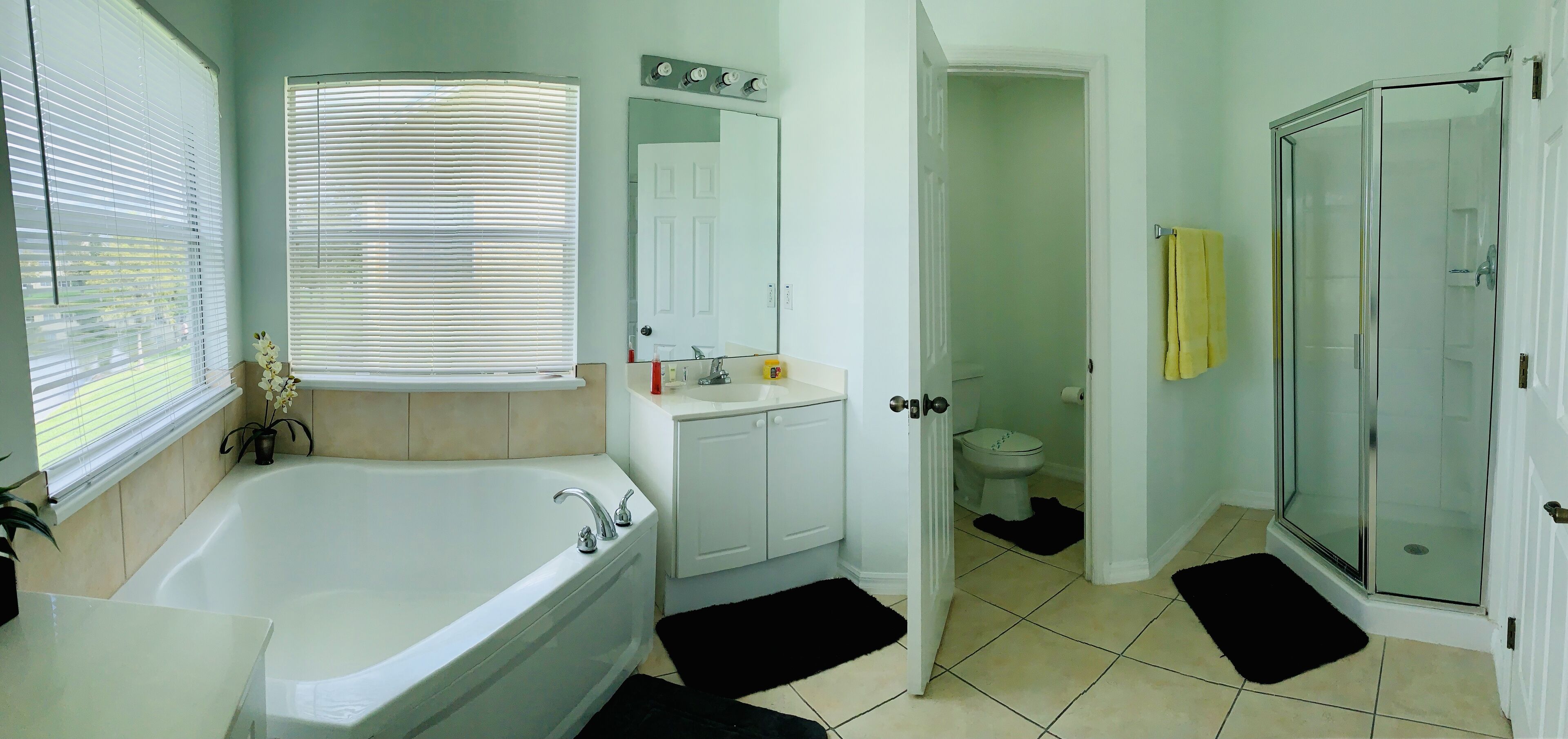 Een badkamer met een bad, toilet en douche.
