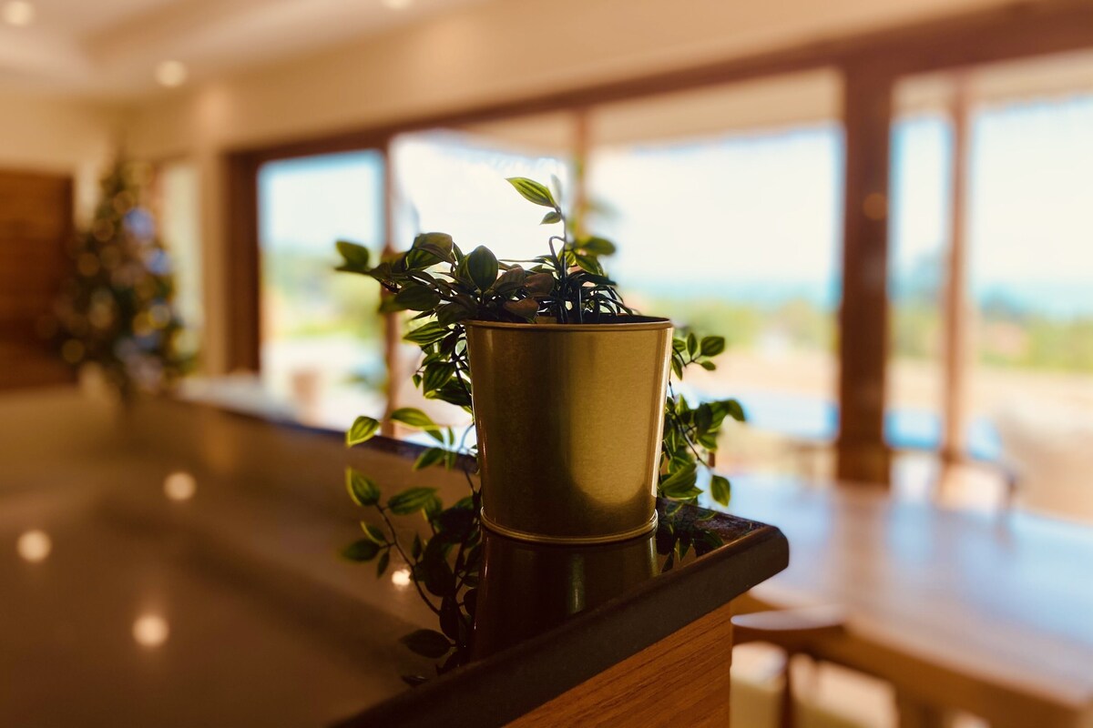A modern interior with a reflective countertop, a potted plant, and large windows offering a view.
