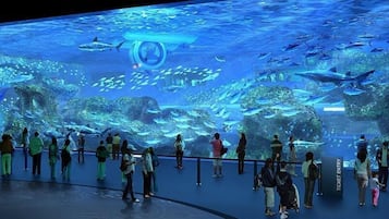 ๊ด๊ด๋ช
์