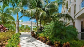 A pathway lined with palm trees and tropical plants leading to a covered area. - Aruba Eagle Beach One Happy Island Vacation Waiting For You!! (Oranjestad-West)