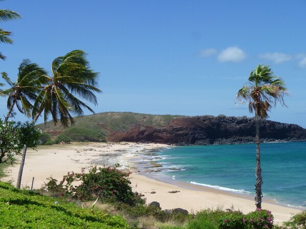 Une plage à l’eau turquoise et limpide, bordée d’un rivage sablonneux et de palmiers.