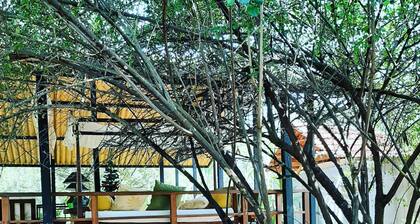 Elephant Lodge