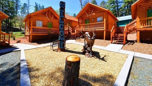 A wooden cabin with a 'WELCOME' sign, a dog statue, and a well-maintained gravel driveway.