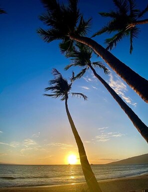 Beach nearby - Oceanfront Condo on magic Sugar Beach - Ocean View (Kihei)