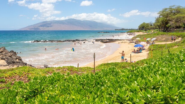 A beach with clear blue waters, rocky shore, and lush greenery. - Maui Beach Front Condo Walking Distance to Beaches and Restaurants, ocean views (Kihei)