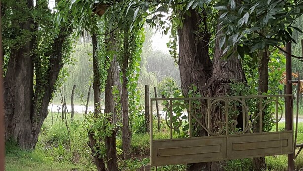 A rustic wooden gate with a metal design, surrounded by lush greenery and trees.