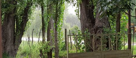 Terrein van de accommodatie